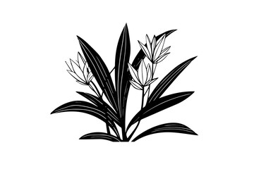 Hand-drawn ink sketch of minimal plant, black forts for graphic design. Engraved style vector illustration.