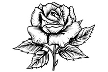 Rose Flower Hand Drawn Ink Sketch. Engraving Style Vector Illustration.