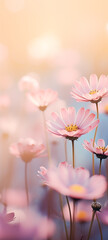 Wall Mural - Beautiful minimalistic floral background with spring flowers, soft light, selective focus, smartphone wallpaper