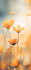 Wall Mural - Beautiful minimalistic floral background with spring flowers, soft light, selective focus, smartphone wallpaper