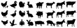 Farm animals vector set illustration