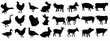 Farm animals vector set illustration