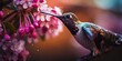 Fiery throated hummingbird is sucking the nectar out of the pink purple flowers , With movement in his wings and blurry background.