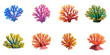 Vector Illustration Of Multiple Corals