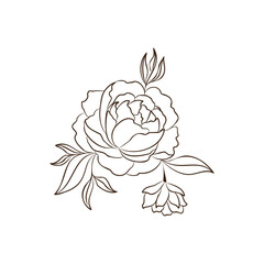 Poster - Vintage hand drawn flower sketch Vector