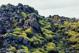 Fototapeta Mosty linowy / wiszący - moss on the rock
