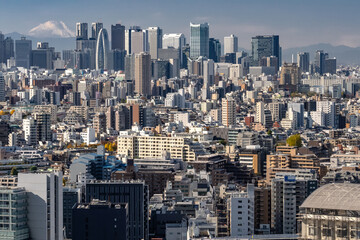 Wall Mural - 富士山をのぞむ東京の町並み　Tokyo cityscape overlooking Mt. Fuji