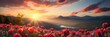 beautiful Easter panoramic landscape with a serene sunrise over tulip flowers field