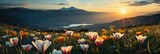 Fototapeta Natura - A vast field of vibrant flowers blooms in the foreground as a majestic mountain looms in the distance under a clear blue sky