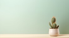  A Small Cactus In A White Pot On A Wooden Table Against A Mint Green Wall With A Wooden Table And A White Vase With A Small Cactus In The Foreground.