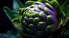  A Close Up View Of A Purple And Green Artichoke With Leaves In The Foreground And A Dark Background With Only One Flower Budding In The Foreground.