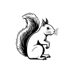 Canvas Print - Squirrel Vector