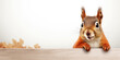 A cute squirrel smiles and gives a thumbs-up in a wide banner with a clean, single-colored background.