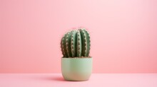  A Small Cactus In A Green Pot On A Pink Surface With A Pink Wall Behind It And A Pink Wall In The Background With A Pink Wall Behind The Cactus.