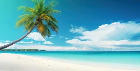 an image of a palm tree on a white sandy beach