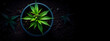 Kleine Cannabis-Pflanze im Topf, Anbau aus der Vogelperspektive