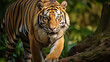 Bengal Tiger in forest show head. generative ai and leg