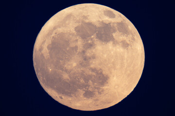 Wall Mural - super strawberry moon, reddish full moon on a summer night.