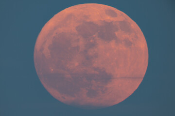 Wall Mural - super strawberry moon rising over the sea, a reddish full moon rising over the sea on a summer night