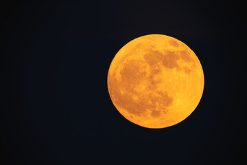 Wall Mural - super strawberry moon, reddish full moon on a summer night. full moon with clouds ahead