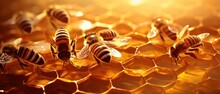 Macro View Honey Bee On Honeycombs Storing Nectar Pollen. Generative AI