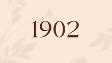 Vintage 1902 Birthday, Made In 1902 Limited Edition, Born In 1902 Birthday Design. 3d Rendering Flip Board Year 1902.