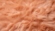 Closeup of a Peach Fuzz coloured backdrop with a soft, velvety texture, making it the perfect choice for displaying luxurious or highend products.