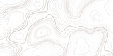 Fototapeta  - Topographic map height abstract polygonal land. Mountain topographic contour in lines and contours. Surface map of mountain future. Stripes landscape descripting data maps.
