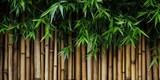 Fototapeta Sypialnia - Tropical bamboo wall with wood texture, close-up. Flat lay, top view, copy space.