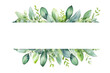 Watercolor of green floral banner with eucalyptus leaves on transparent background