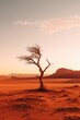 A picture of a lone tree standing in the middle of a vast desert. This image can be used to represent solitude, resilience, and the harshness of a barren landscape.