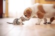 puppy and kitten sniffing each other on a wooden floor