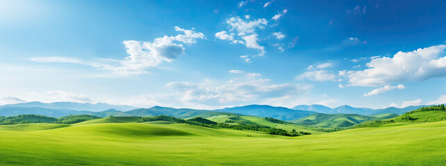 Wall Mural - landscape with grass and blue sky