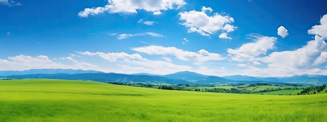 Wall Mural - landscape with grass and sky