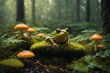 Fantastic beautiful magical fairy-tale meadow with mushrooms and a frog in a fabulous enchanted forest, on a mysterious natural background. Artistic depiction of the beauty of nature.