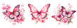 Valentine Watercolor Floral Butterfly
