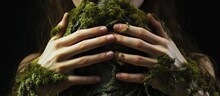 Woman's Hands Embracing Mossy Tree Trunk From Below.