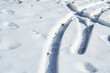 雪に残るタイヤ痕