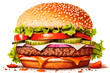 Drawing of a burguer on a transparent background. PNG