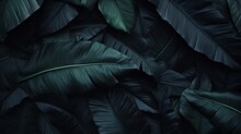 A Group Of Black Leaves