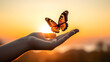 Butterfly on the hand of a woman during sunset