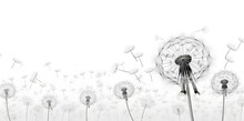Black Silhouette With Flying Dandelion Buds On A White Background