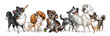 Cute character six funny cartoon different dogs isolated illustration