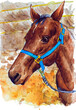 Horse portrait watercolor painting
