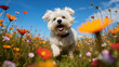 Cute dog sitting on a grassy field colorful flowers under a clear blue sky in a warm and sunny day, generative ai