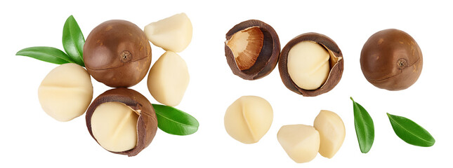 Poster - macadamia nuts isolated on white background. Top view. Flat lay