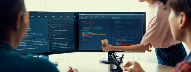 Closeup skilled young female programer present program coding and sharing programing idea while manager listening carefully.at modern office company. Java script, web design concept. Burgeoning.