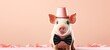 Happy Birthday, carnival, New Year's eve, sylvester or other festive celebration. Cute little pig wearing a bow tie and a hat on pink background