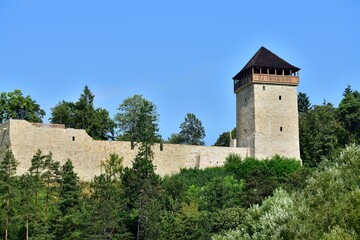 Wall Mural - View from behind the trees of the old castle tower 