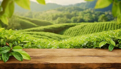 Empty wooden table or wooden desk on nature background of green leaves and tea plantation